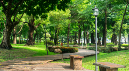PARK 3